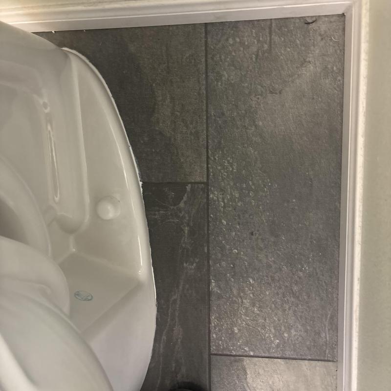 Elongated toilet installation with angle stop and supply line